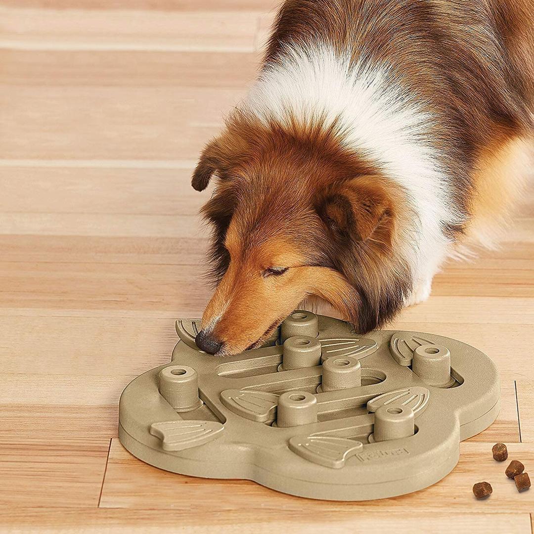 스웨덴 반려견 간식 보상 놀이 퍼즐 - Level 2 (5종)