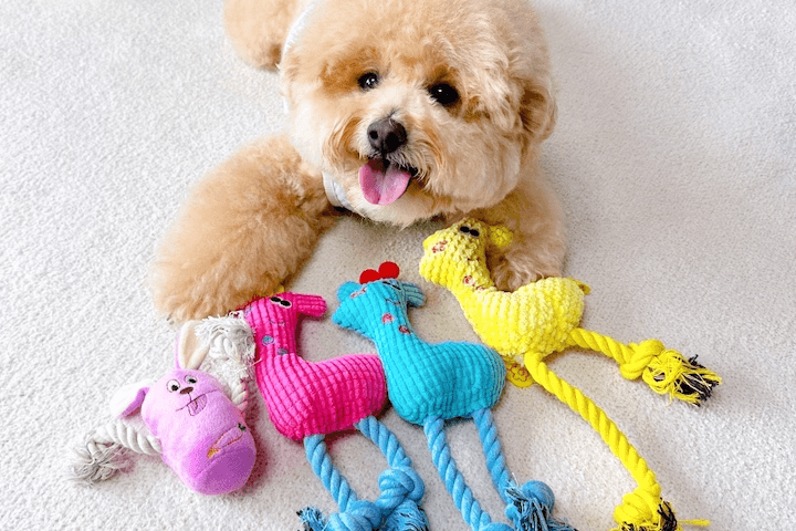 반려동물 삑삑이 인형 강아지 장난감 4종 C세트