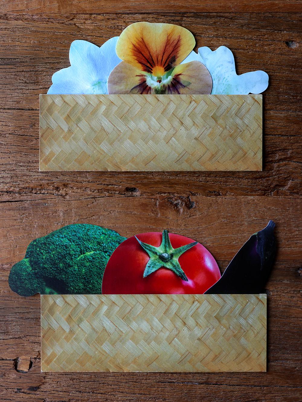 채집 엽서 세트