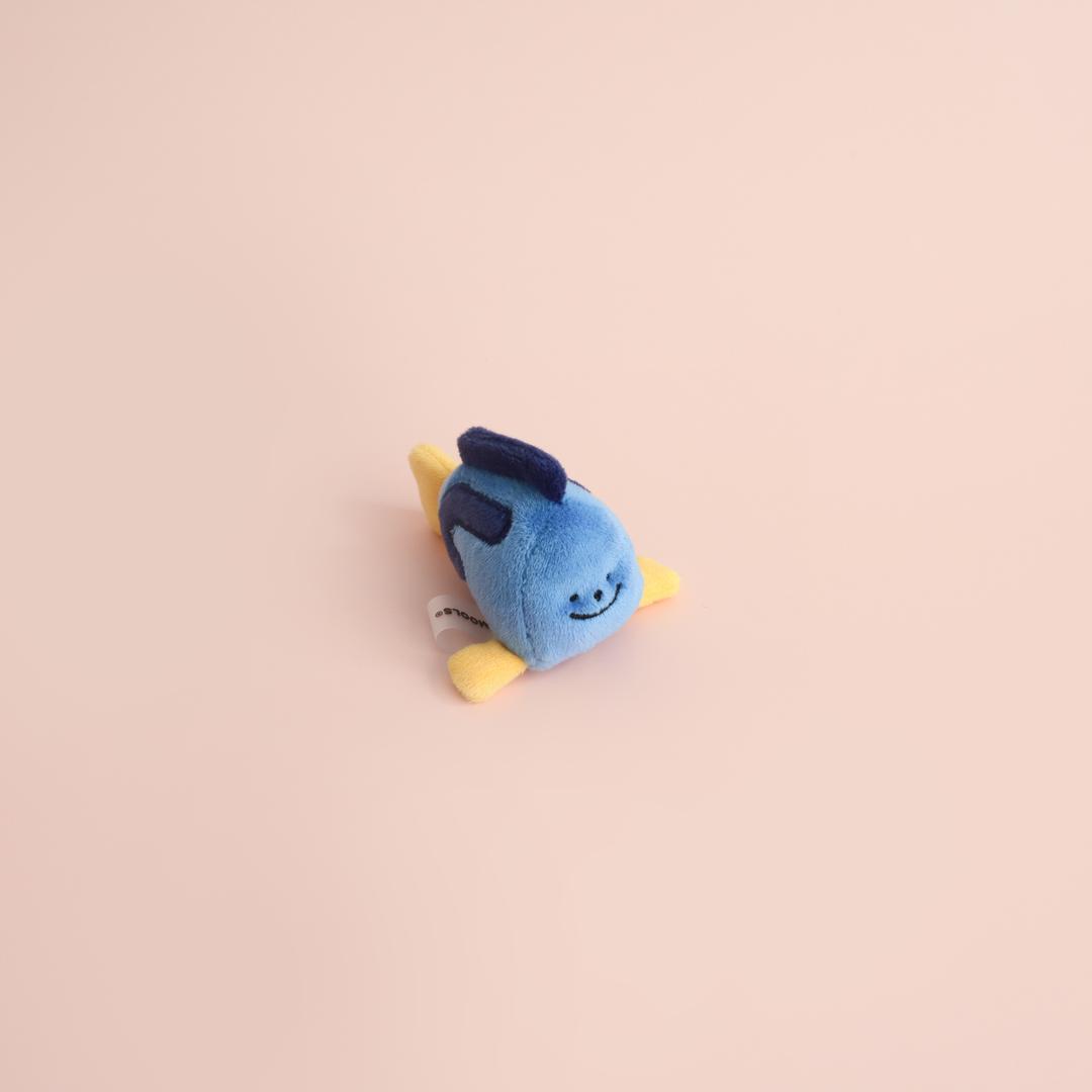 남양쥐돔