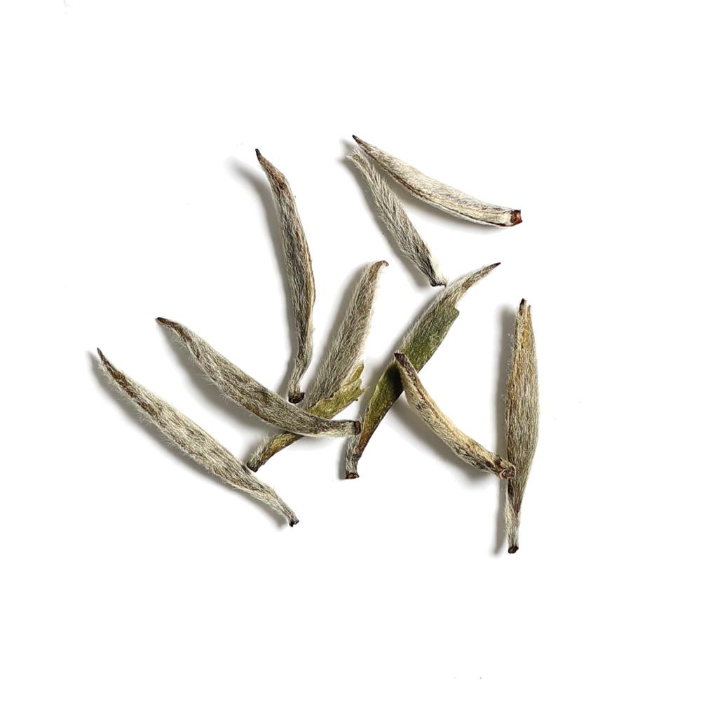 [백차] 실버 니들