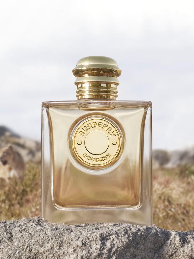 [버버리 향수] 가디스 EDP 50 mL