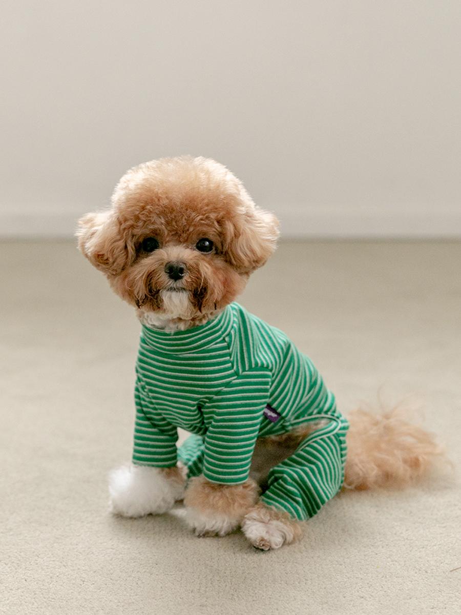 러브 버튼 올인원[그린]