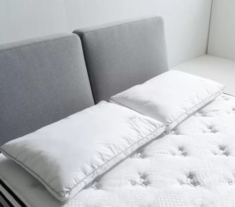 1+1 코스트코 씰리 베개