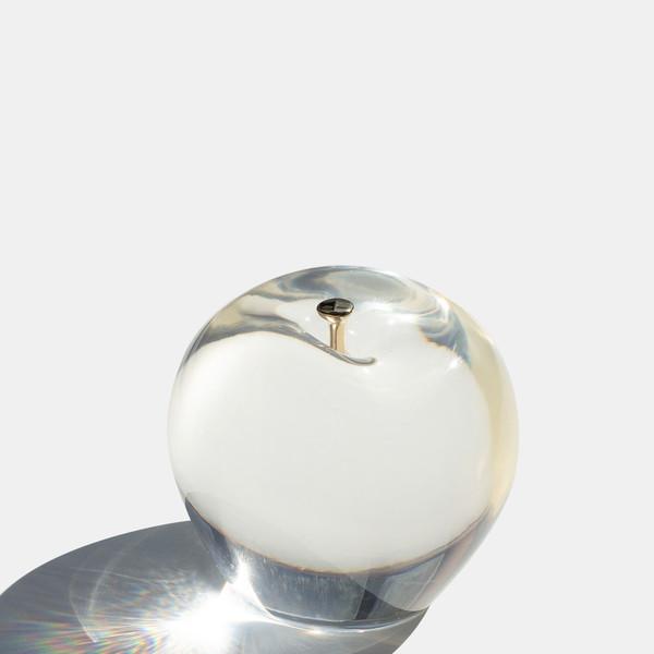 Big glossy apple : 사과문진