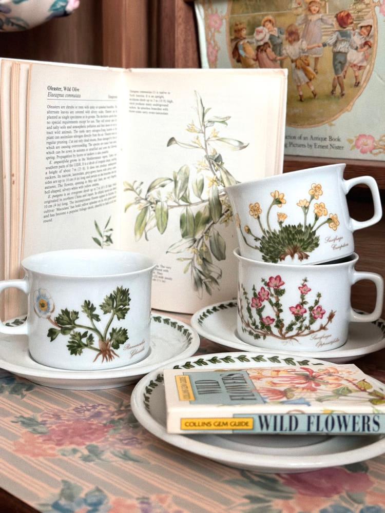 [중고] 바바리아 야생화 티컵&소서 / Bavaria wildflower tea cup&saucer