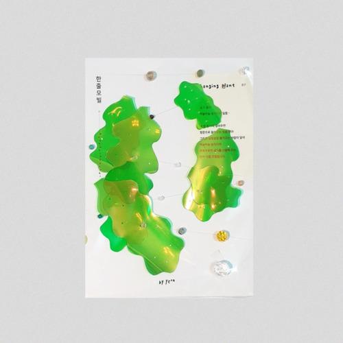 [에이바이스튜디오]hanging plant