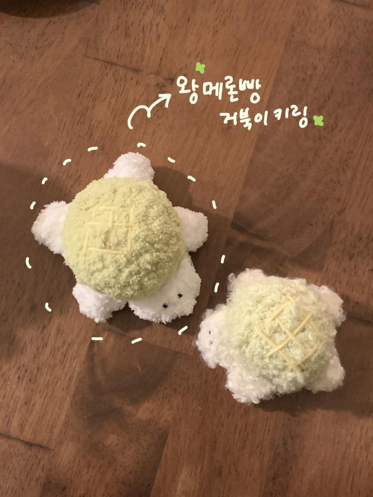 왕 메론빵 거북이 키링 모루인형 뜨개 키링 키홀더 : 뜨둥 tteudung