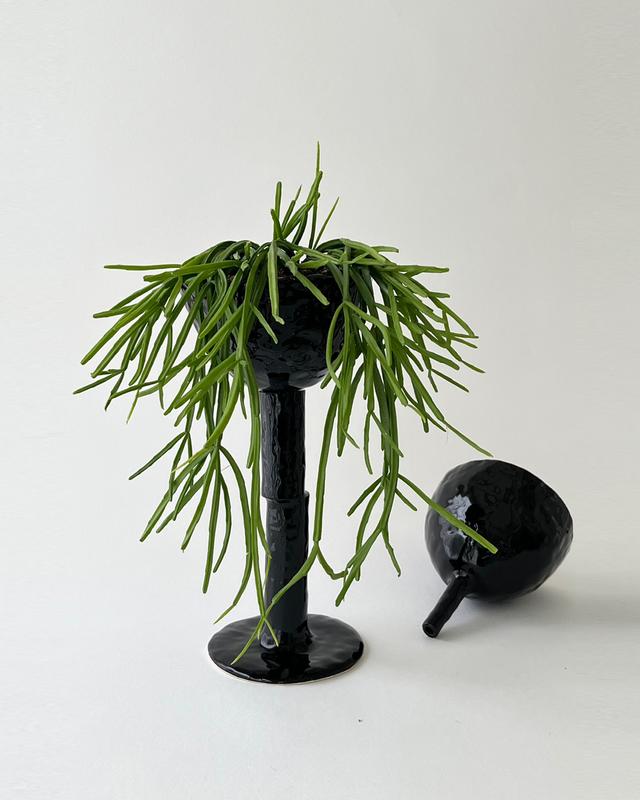 nonemptysite | POT 001