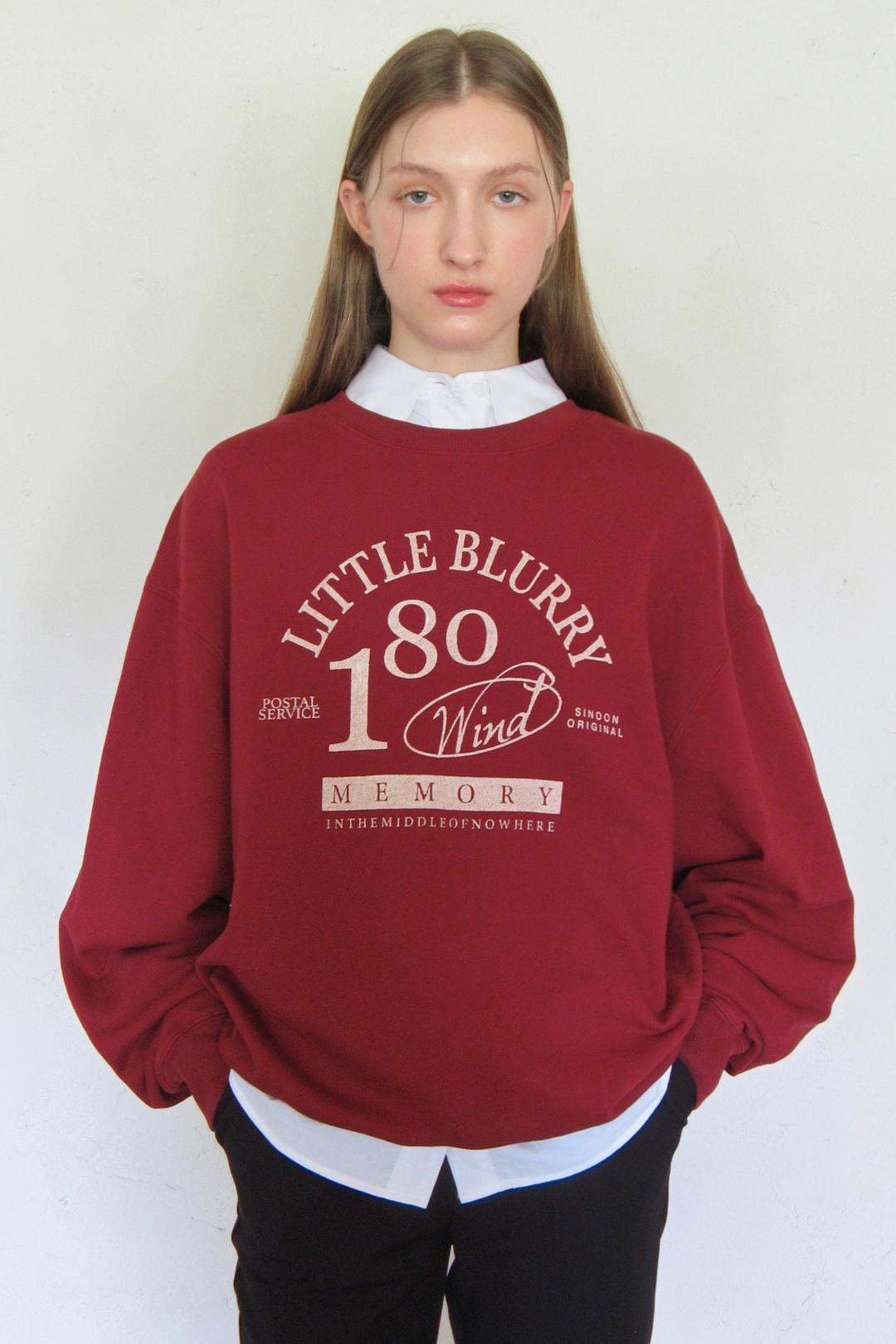 LITTLE BLURRY SWEATSHIRT (RED)