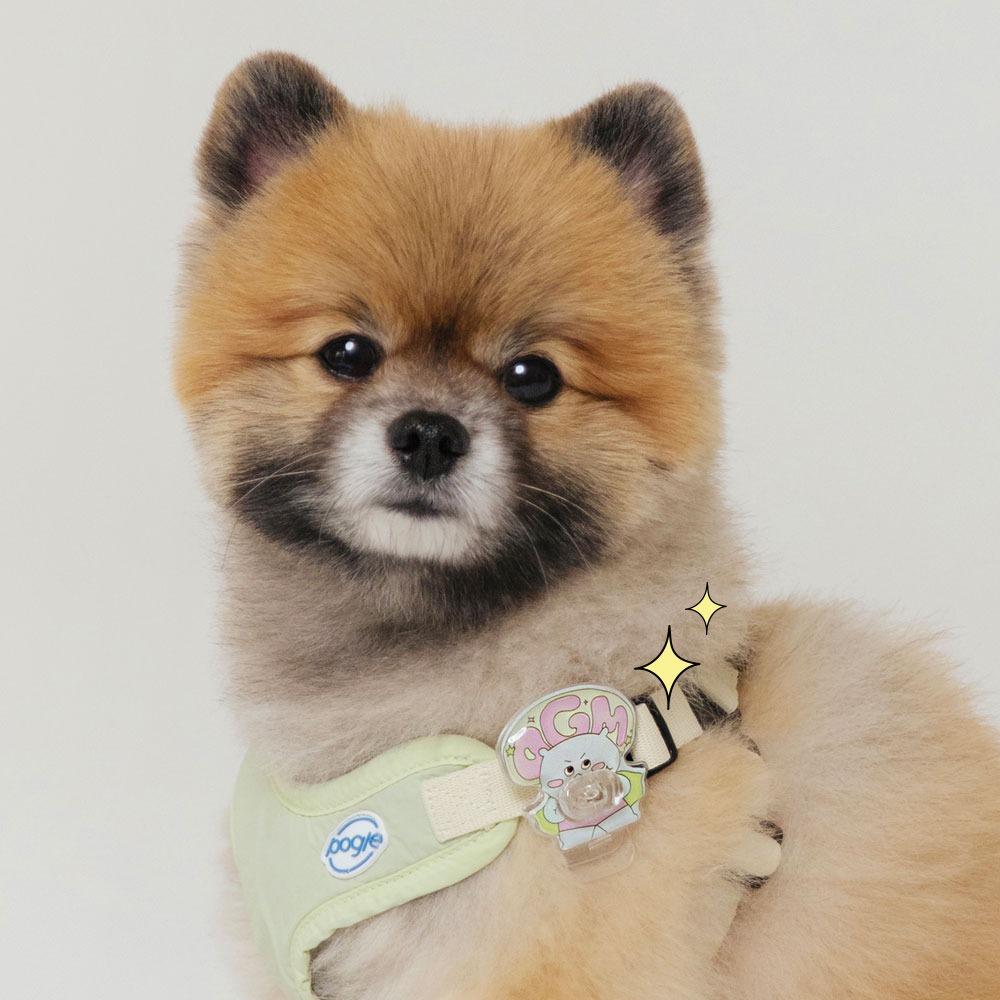 [핫딜] 포글 O.G.M 오지마클립 (해충방지)