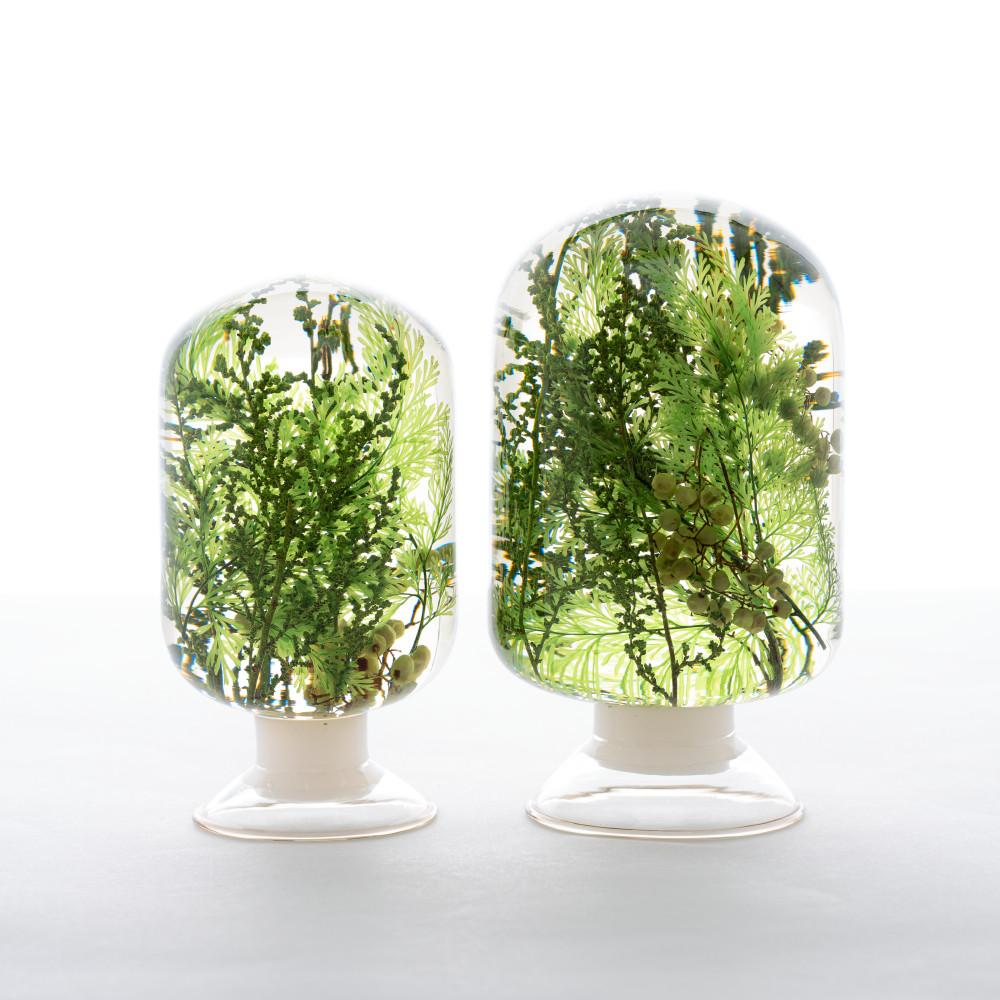 스타일지음 피스오브타임(pieces of time) - 워터플랜트