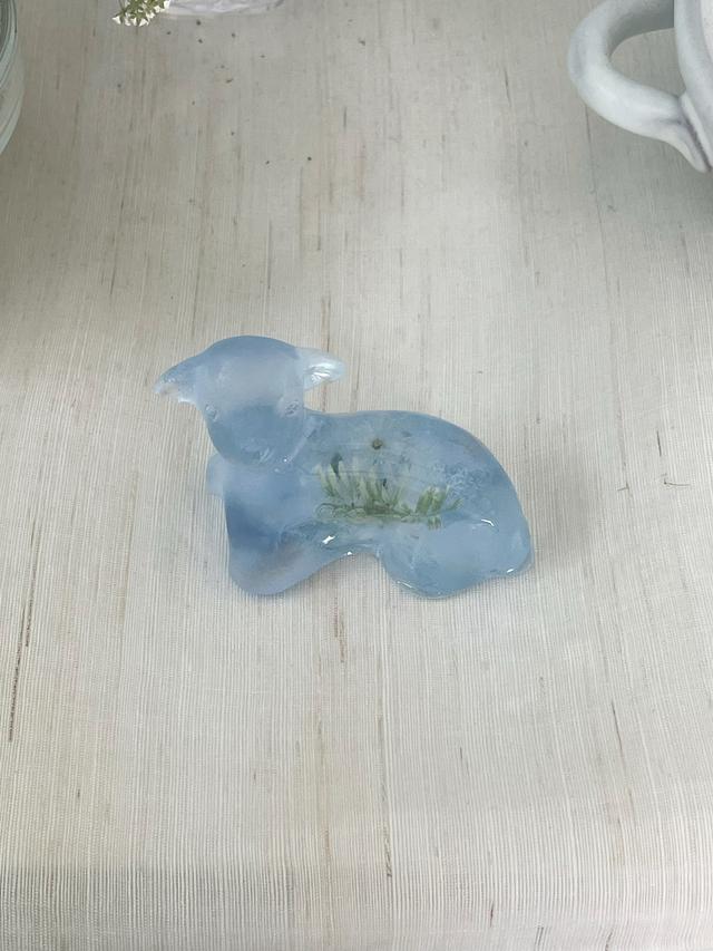 아기양 小 01