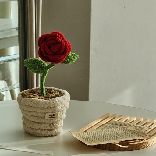 [장미인형] 선물고민해결🌹✨️신상포근식물 ⚆ㅅ⚆*`☆