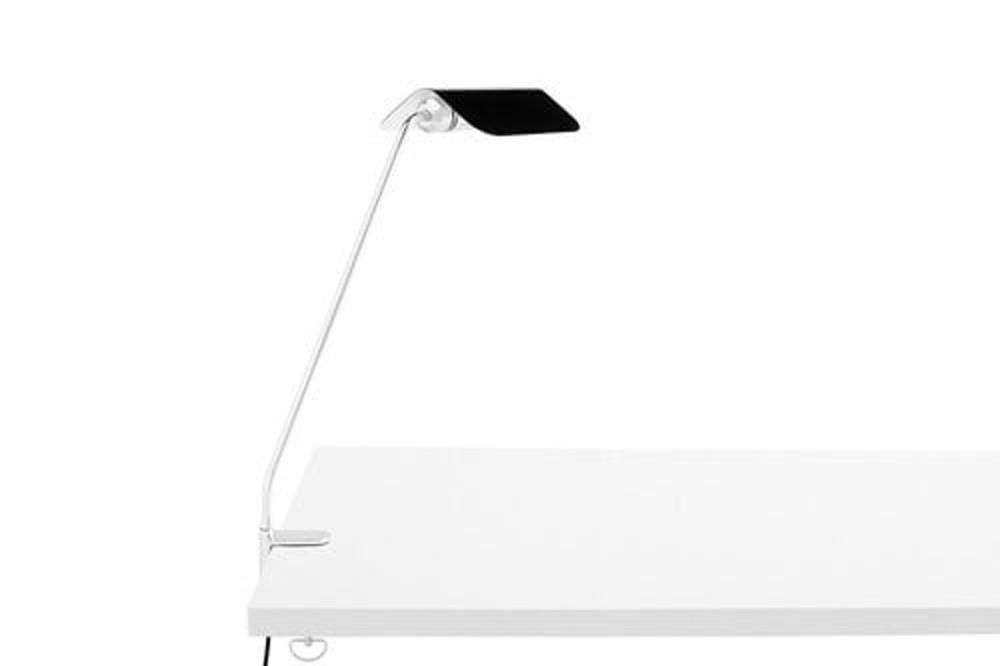 [HAY] Apex desk clip lamp 에이펙스 데스크 클립 (3colors)