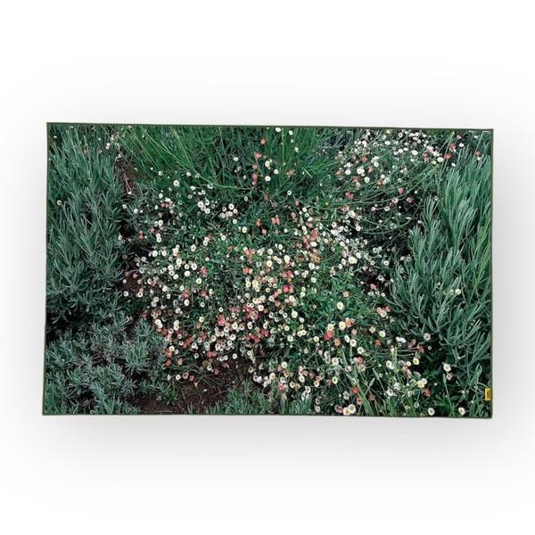 [150*200 순차 출고]Flower garden, landscape rug