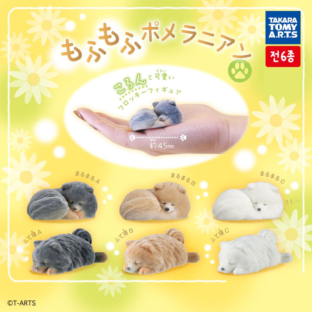 타카라토미 모후모후 복슬복슬 포메라니안 플로키 피규어 6종