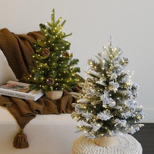 프리미엄 파인 수제트리지네전구set [2type]