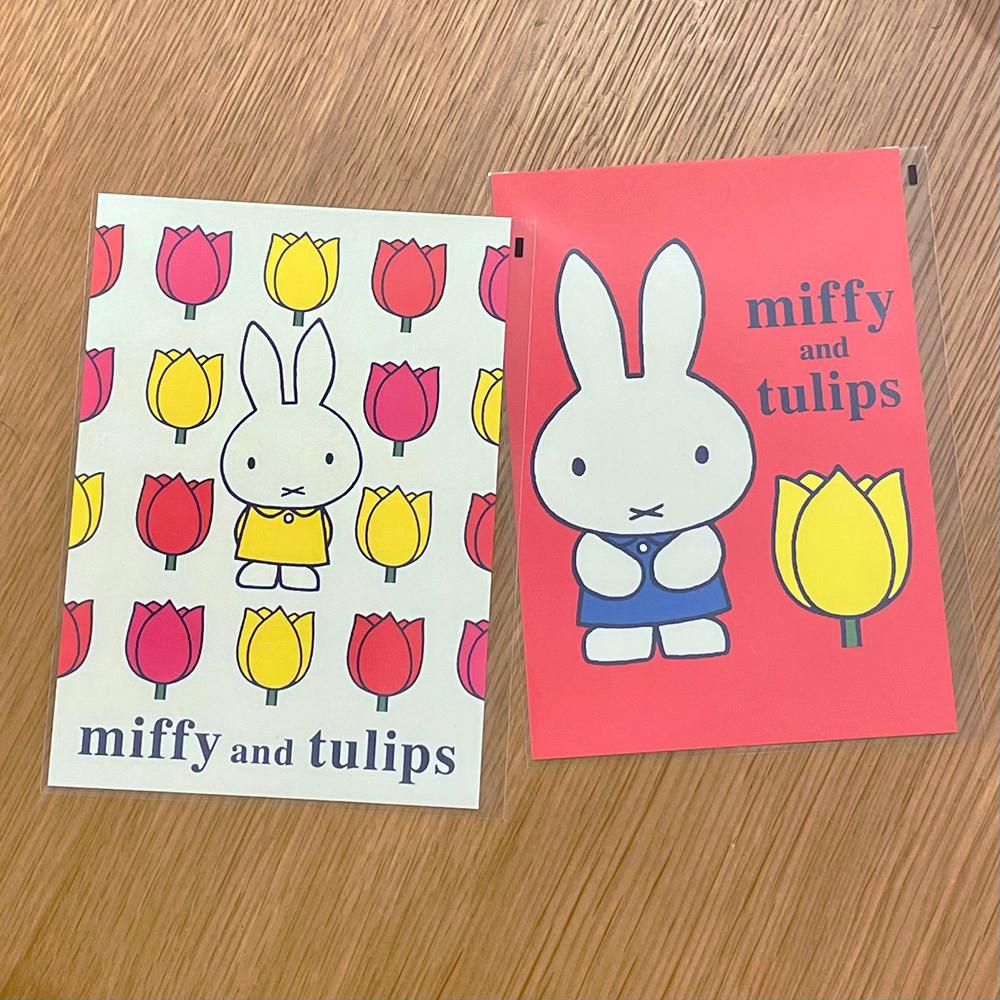Miffy and tulips 미피앤 튤립 시리즈 엽서 2종 아이보리 레드