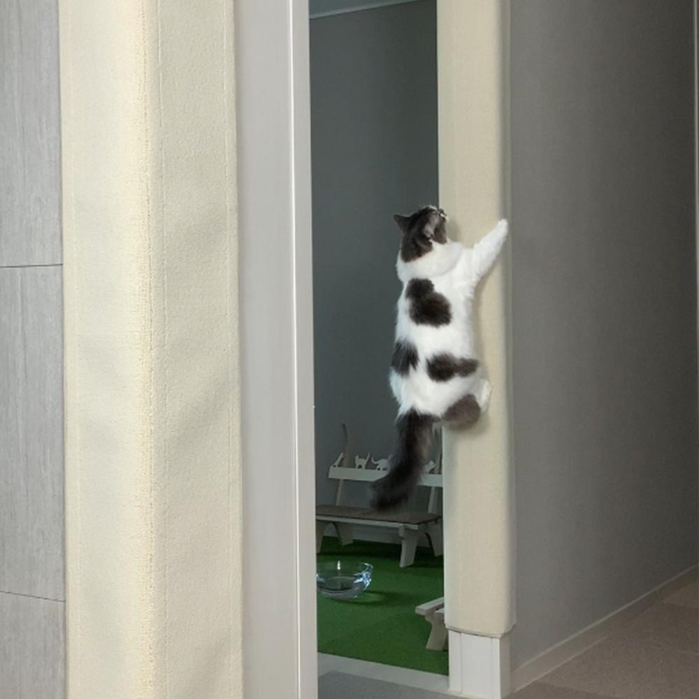초초대형 부착형 고양이 스크래쳐 냥오름 재미있는 고양이장난감 아이보리 스크래쳐