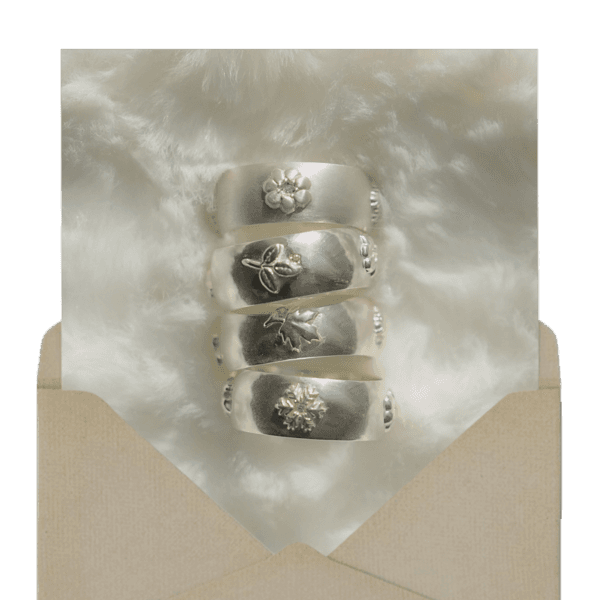 생을 축하해, silver ring