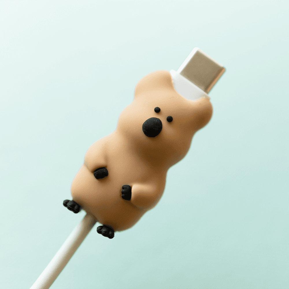 다이노탱 쿼카 케이블 보호캡 C타입