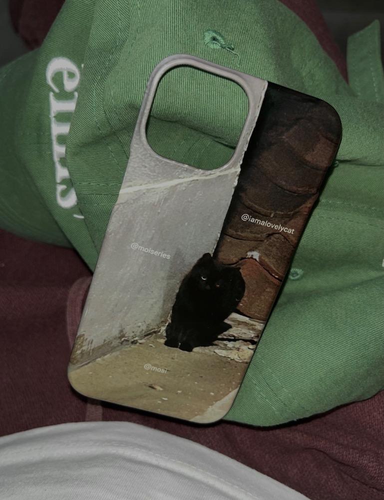 iamalovelycat case