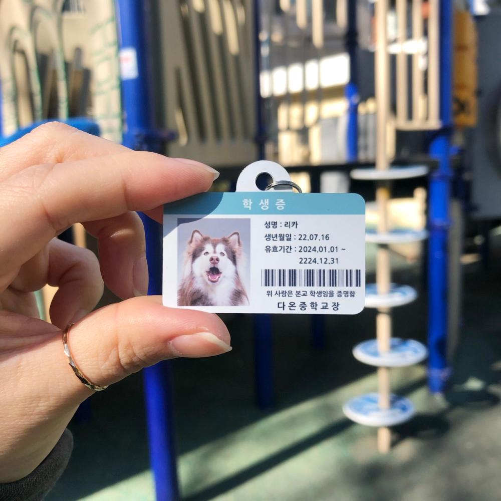 강아지고양이 학생증모양 강아지유치원 명찰 이름표 반려견 인식표 동물등록 애견이름표