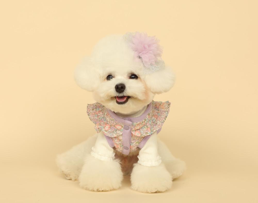 리버티 미쉘 퀼팅 프릴 베스트