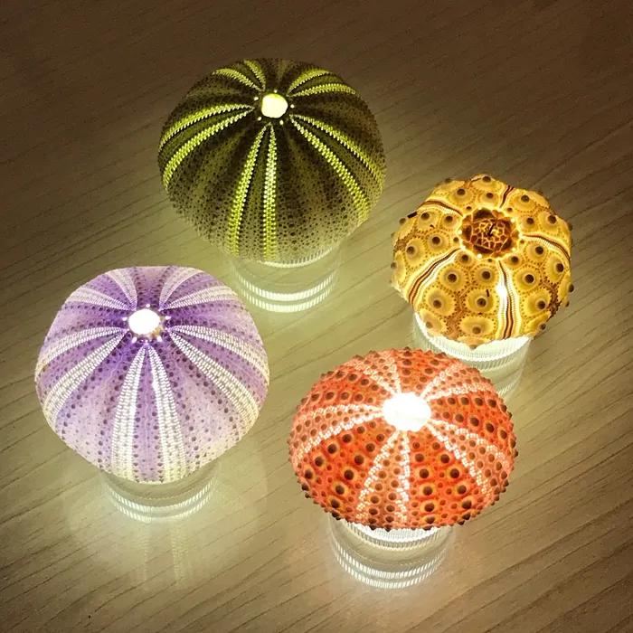 성게 램프 / 녹색 성게