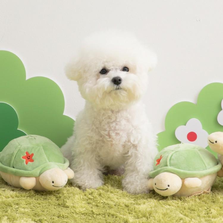 [Ultra Super Early Bird]바잇미 점핑부기 노즈워크 플레이볼 자동 장난감