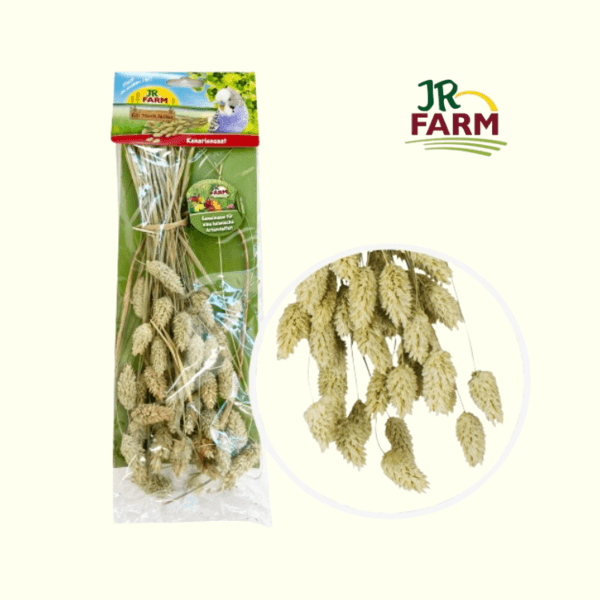 [JR팜] 카나리아씨드 줄기 20g