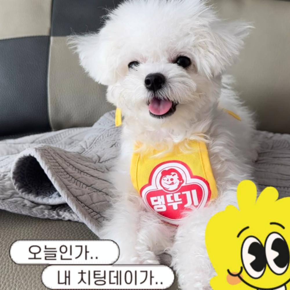 강아지코스튬 댕뚜기 앞치마 강아지옷 코스프레옷 할로윈 뭉미샵