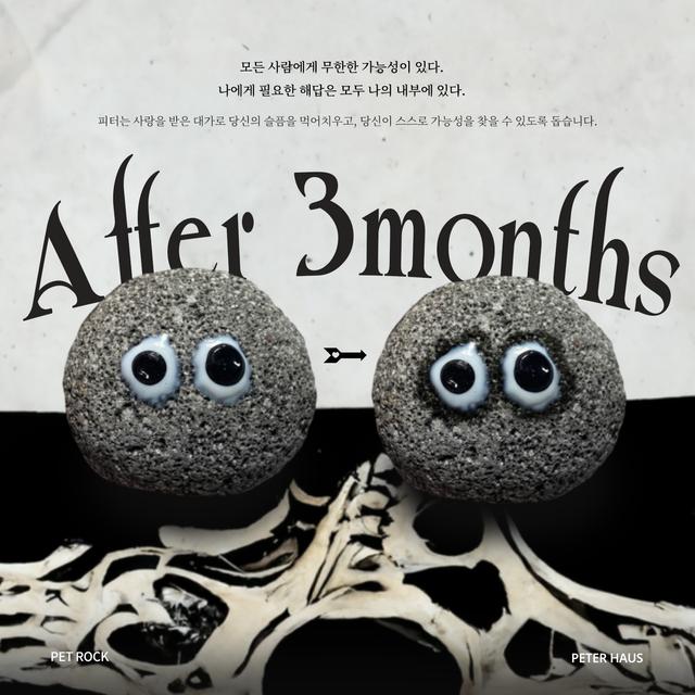 [피터하우스] 애완돌 Pet rock PETER