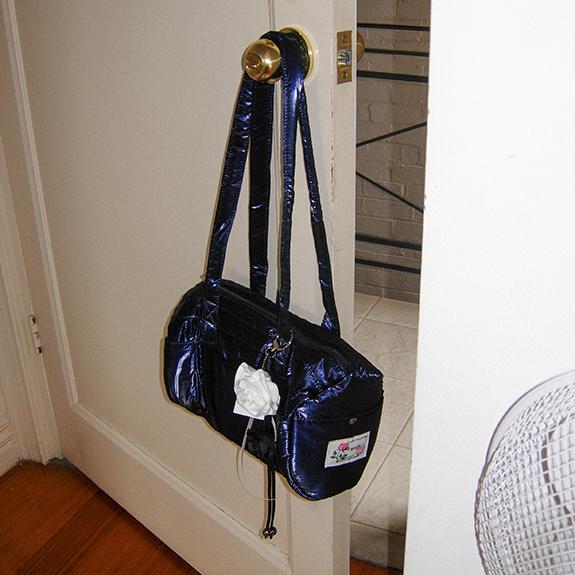 Park Bag_Navy