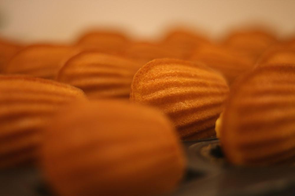 프리미엄 마들렌(5개입)