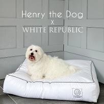 [SET] 애견 호텔침구 세트 Henry the Dog Collection SET
