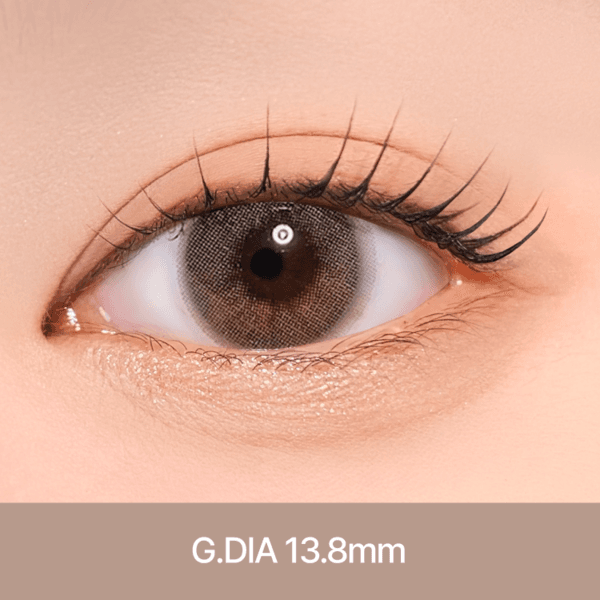 에일린 플러스 [ 그레이 ] 원데이 10EA