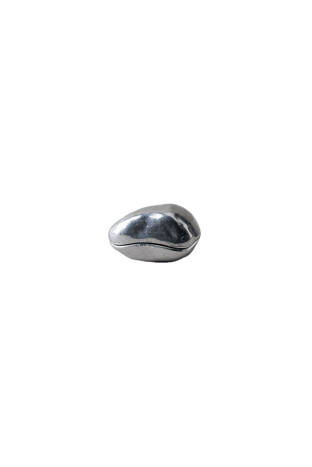 Pine Nut Case