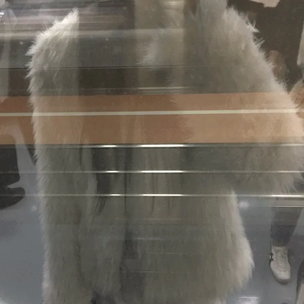 winter white jk 당일발송