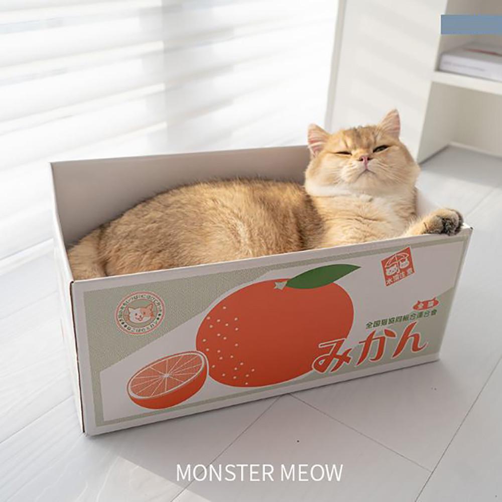 고양이 스크래쳐 박스 오렌지박스