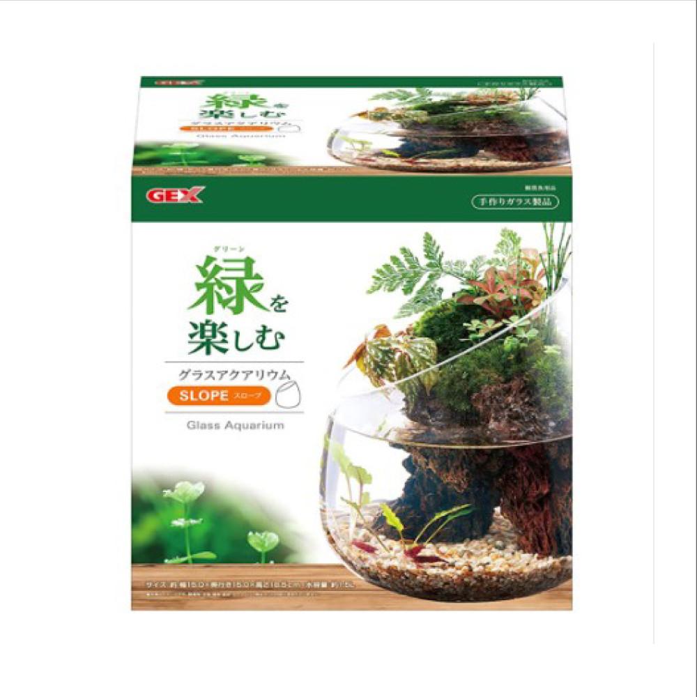 GEX 아쿠아테라리움 유리볼 미니 팔루다리움 만들기 TERRA SLOPE