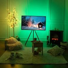 데이홈 이즈휴 RGB 풀컬러 LED 간접조명 1m C1