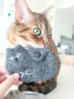 식빵굽는 냥이 카드지갑