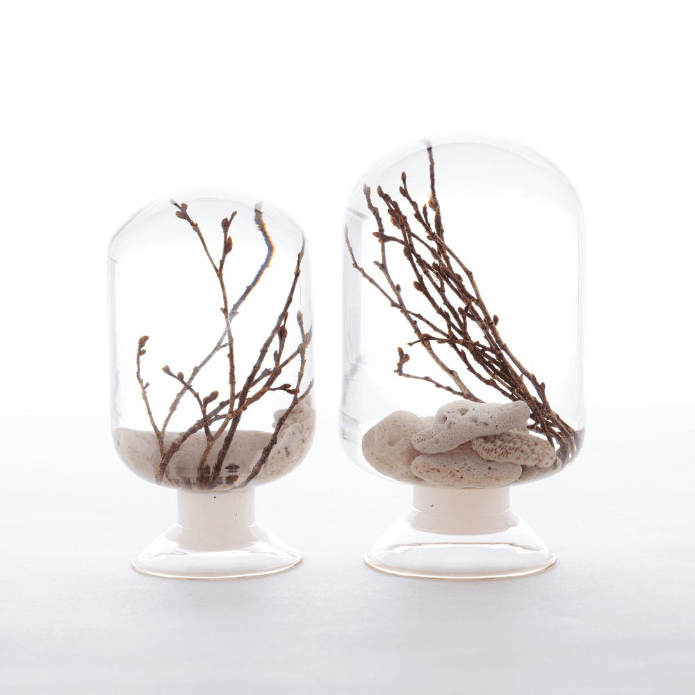 [피스오브타임] 산호느티