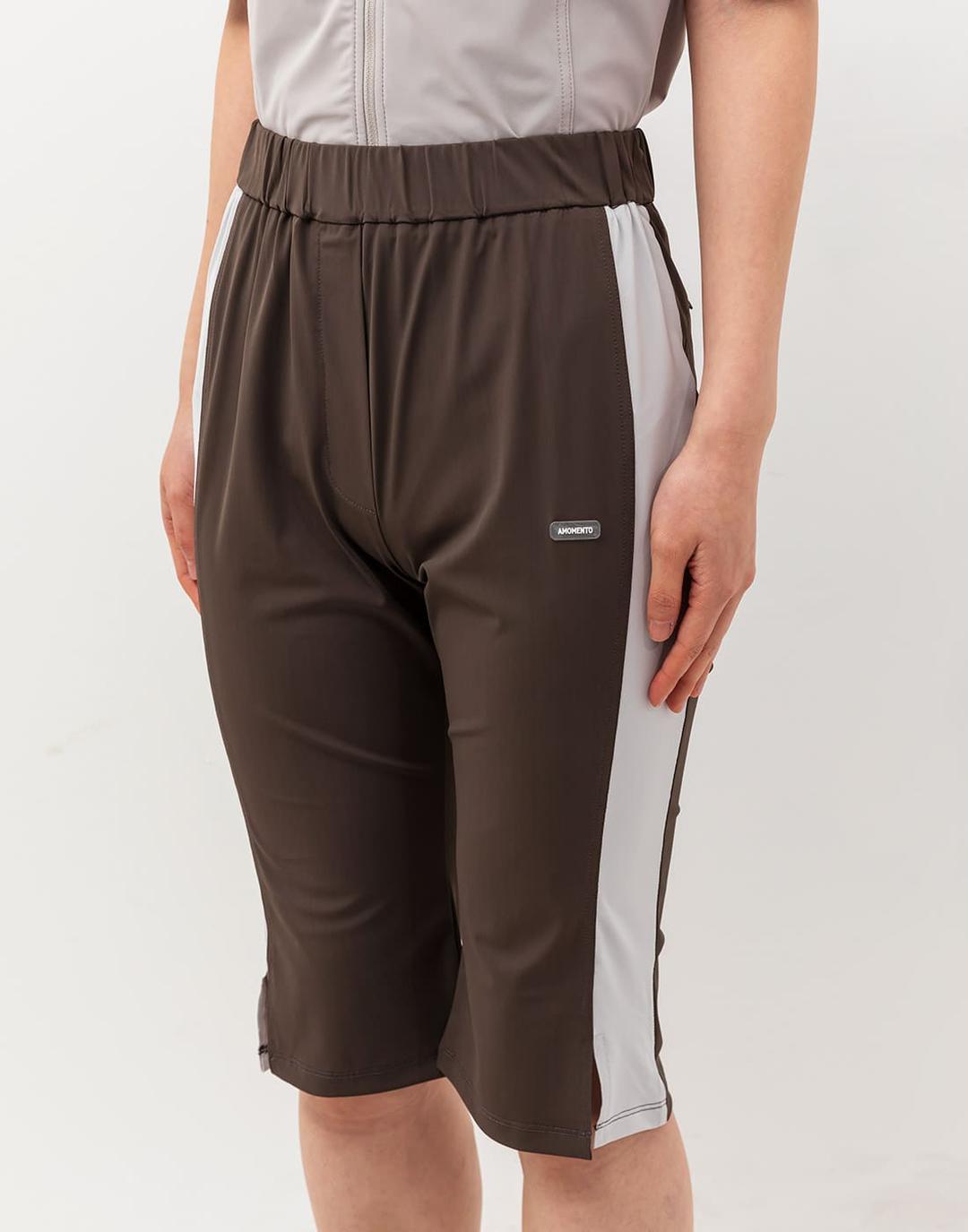 Color Blocked Biker Shorts (Brown)