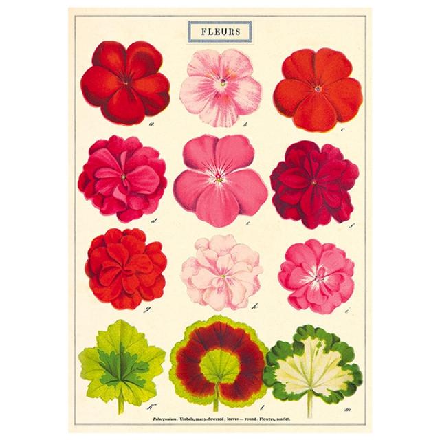 [카발리니][CAVALLINI] WRAP/POSTER - FLEURS / 카발리니 포스터 (50x70)
