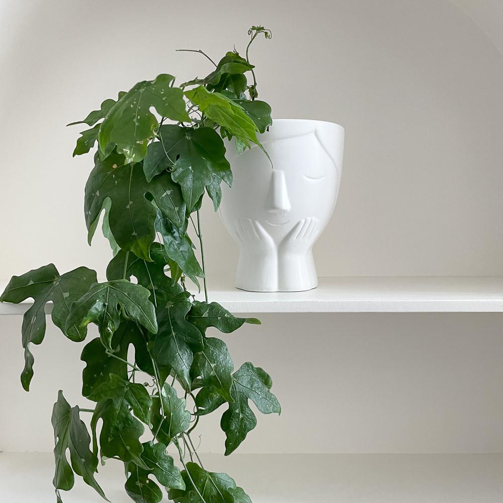 오브리 팟 소녀상 조각상 인테리어 화분 식물 세라믹 디자인 토분