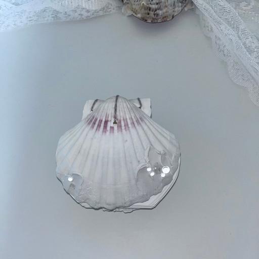 Water drop Seashell Note