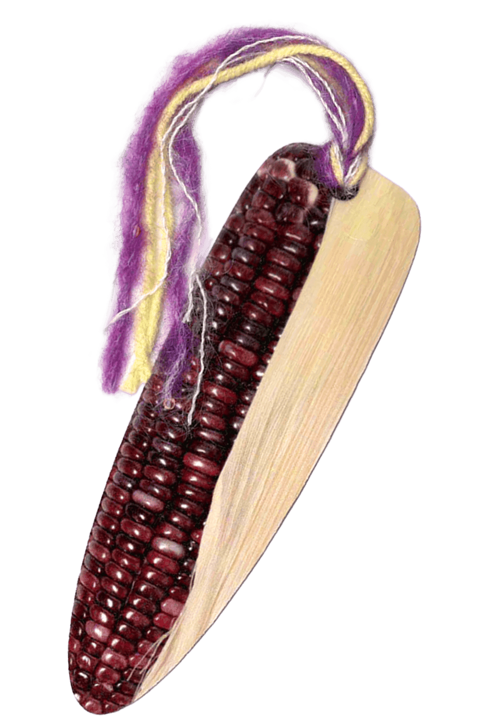 [다각각 책갈피] Chal~Chal~oksusu 찰~찰~옥수수 · 마사진영